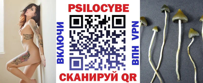 Псилоцибиновые грибы прущие грибы  Лодейное Поле 